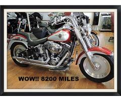 2004 Harley-Davidson Softail